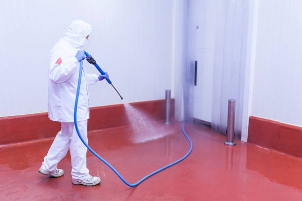 Best Sidewalk and Walkway Pressure Cleaning in Stormstown, PA